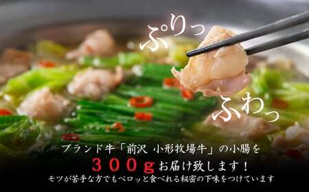 花巻温泉㈱ 佳松園『前沢 小形牧場牛もつ鍋』各１食入り（醤油・塩） 【896-3】