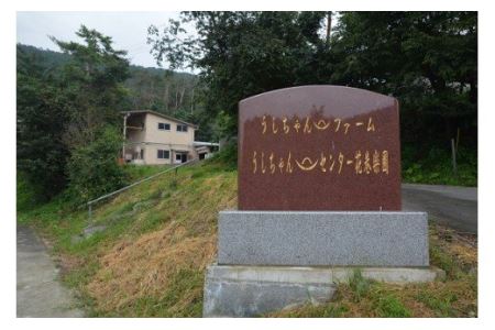 うしちゃんの選べる花巻黄金和牛ギフトA　A5サーロインステーキ約250g×2P 【989】