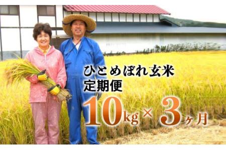 ≪令和7年産≫【3ヶ月定期便】減農薬栽培 ひとめぼれ 玄米 10kg（5kgx2袋） 【1111】