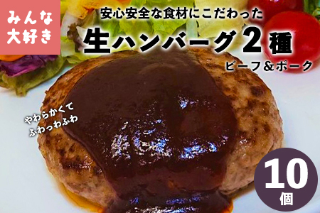 みんな大好き  ハンバーグ  10個セット （ビーフ・ポーク）【1223】