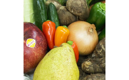  【定期便３ヶ月】イーハトーヴ野菜B 満足セット 9品～ 詰め合わせ【1204】