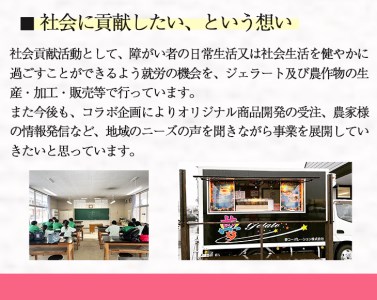 花巻発！極上ジェラート6個セット 120ml×厳選5種類 【1333】
