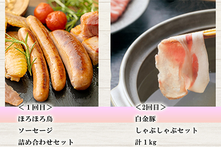 【定期便6ヵ月】花巻肉三昧DX(デラックス) (白金豚・ほろほろ鳥・黒ぶだう牛、等) 【1304】