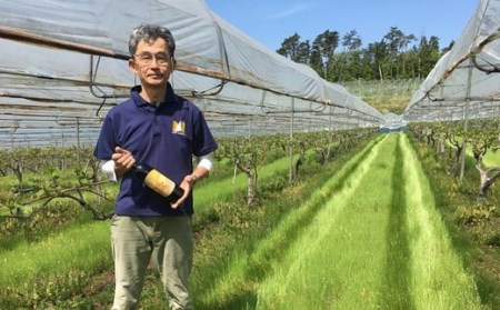 大迫佐藤葡萄園赤ワイン2本セット（ツヴァイゲルト・メルロー）【649】