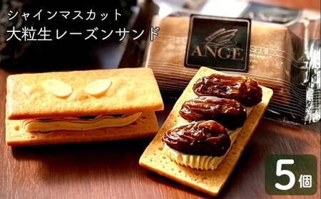 プレミアム 大粒生レーズンサンド　（シャインマスカット）太陽の生レーズン レーズンサンド【1383】
