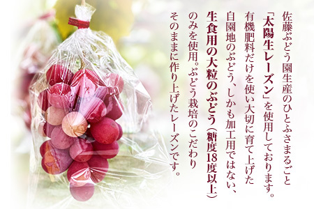 プレミアム 大粒生レーズンサンド　（シャインマスカット）太陽の生レーズン レーズンサンド【1383】