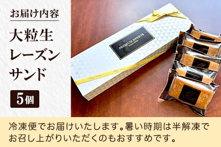 プレミアム 大粒生レーズンサンド　（シャインマスカット）太陽の生レーズン レーズンサンド【1383】