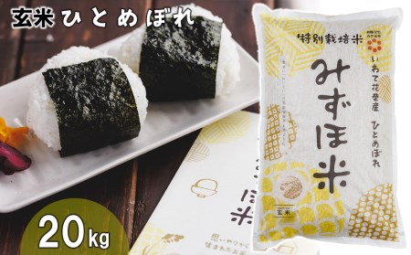 有機みずほ米 ひとめぼれ 玄米 20kg（10kg×2袋）【1390】 | 岩手
