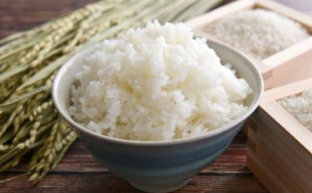 つきあかり 精米 5kg 【1398】