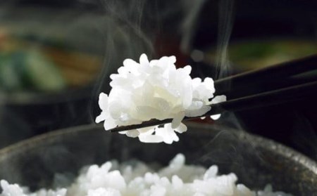 つきあかり 精米 5kg 【1398】