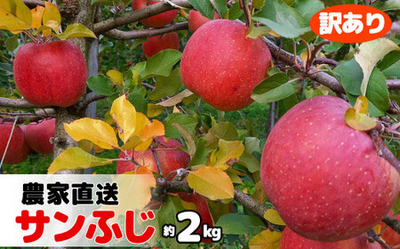 【訳あり】農園直送 サンふじ（花巻りんご）2.4kg前後【1460】