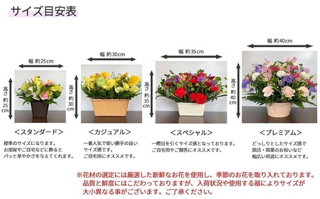 【6ヶ月定期便】偲ぶおもい忘れない、お供え用フラワーアレンジメント＜スペシャル＞【1503】