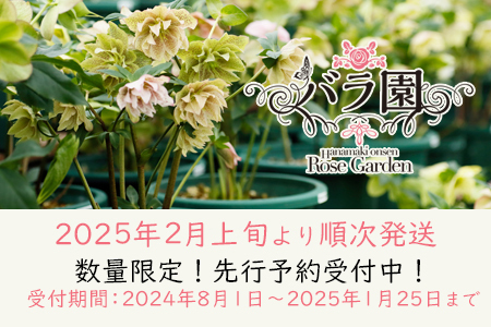 先行予約】2024年1月中旬より随時発送！花巻で育った「クリスマス