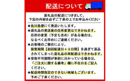 花巻産イーハトーヴりんご お試し 5個セット　【1709】