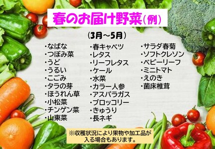 野菜セットA 7品 以上   （P&Cリンク）