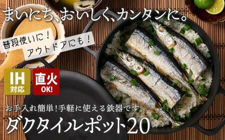 IH対応 鉄 鍋 フライパン ダクタイルポット 20cm  錆びにくい 岩鉄 鉄器 BBQ アウトドア キャンプ 直火 テフロン より長持ち 超軽量  万能サイズの蓋つき鉄鍋 岩手県 北上市 L0089（岩手製鉄）