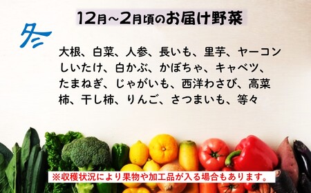 旬の野菜セット A 《 6品 以上 》 (くろいわ産直)  黒岩産 野菜 セット 岩手県 北上市 B0381