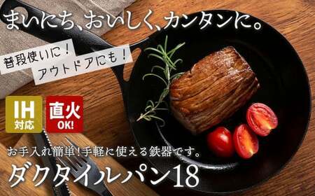 IH対応 鉄 フライパン ダクタイルパン 18cm スキレット 錆びにくい 岩鉄 鉄器 BBQ アウトドア キャンプ 用品 直火 ガス 調理 テフロン より長持ち 超軽量 岩手製鉄 岩手県 北上市 G0205 (岩手製鉄)