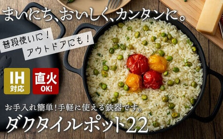 IH対応 鉄 鍋 フライパン ダクタイルポット 22cm 錆びにくい 超軽量 BBQ アウトドア キャンプ 直火 ダッチオーブン 万能 鉄器 岩手県 北上市 O0102 岩手製鉄