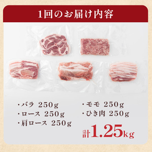 四元豚 おまかせカット肉＆ひき肉セット 1.25kg ロース バラ 肩ロース モモ ひき肉  GIFTON 冷凍 豚肉 ブランド豚 お歳暮 ギフト お祝い 岩手県 北上市 ごえん 株式会社 D0516