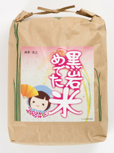 予約受付令和7年産新米 銀河のしずく 白米