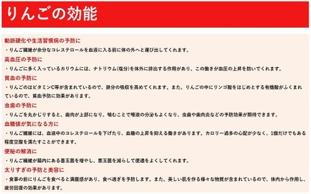 順次発送 りんご 約 5kg 岩手 北上産 林檎 リンゴ 黄王 つがる ジョナゴールド 星の金貨 スリムレッド ふじ フジ シナノゴールド 王林 冷蔵 季節限定 数量限定 お試し 食べきり 岩手県 北上市 C0503 P＆Cリンク