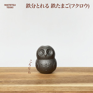 フライパン IH対応フライパン 24cm + 鉄たまご付き J0147