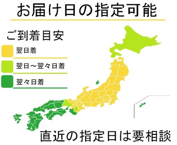 【定期便12ヶ月】お供えのお花 菊使用1対 O0031 供花 仏花