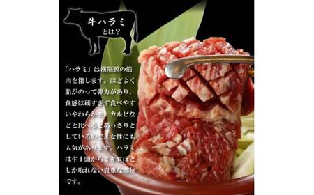 プレミアム極厚ハラミステーキ【熟成醤油だれ】600g ハラミ (K2-026)  D0502