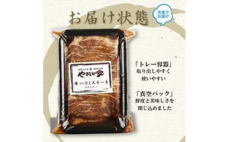 プレミアム極厚ハラミステーキ【熟成醤油だれ】600g ハラミ (K2-026)  D0502