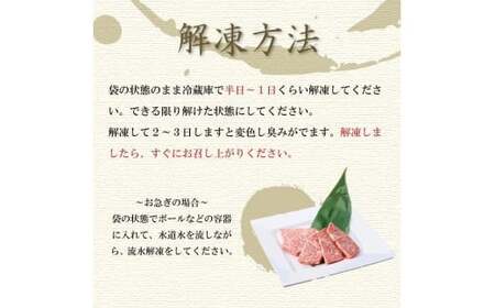 プレミアム極厚ハラミステーキ【熟成醤油だれ】600g ハラミ (K2-026)  D0502