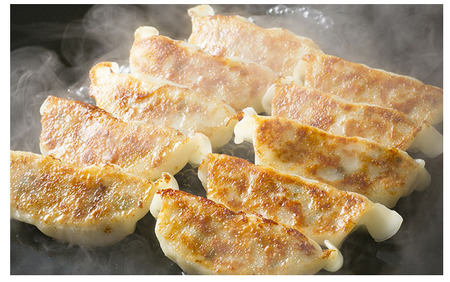 八福餃子・青しそ餃子 セット 計 80個 たれ付 ラーメン 屋が作る 手作り餃子 岩手 味噌屋がんこ亭 岩手県 北上市 F0108 冷凍 豚肉 しそ ギョーザ おかず 総菜 おつまみ 中華 お取り寄せ 焼き餃子 タレ付き 地産地消 ※12/24までの決済で 年内発送 可能