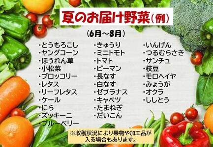 【6ヶ月定期便】野菜セット7品 旬野菜詰め合せ H0142