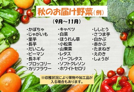 【7ヶ月定期便】野菜セット 7品 季節 旬 野菜 詰め合せ 定期 国産 季節 旬 おまかせ 産地直送 春野菜 夏野菜 秋野菜 きのこ 葉物 果物 果菜 根菜 冷蔵 野菜室 ダイエット 食 栄養食 カット野菜 岩手県産 北上産 季節限定 山菜 ブロッコリー たまねぎ さつまいも とうもろこし サラダ トマト しいたけ アスパラガス 送料無料 岩手県 北上市 H0143 P＆Cリンク