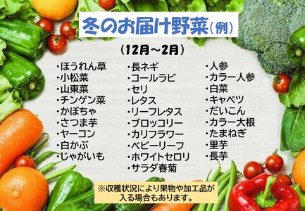 【12ヶ月定期便】野菜セット7品 旬野菜詰め合せ K0064