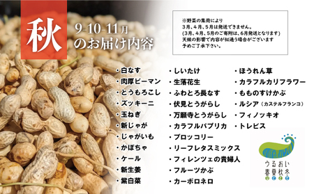 農園自慢 彩り野菜セット(5品以上)旬野菜詰め合わせ A0235