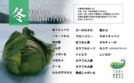 農園自慢 彩り野菜セット(5品以上)旬野菜詰め合わせ A0235