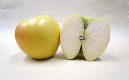 【数量限定 2026年 4月発送 予約受付】 雪っ子 りんご シナノゴールド 5kg 岩手県 北上市 E0273 展勝地レストハウス 国産 リンゴ 林檎 果物 フルーツ 果実 贈答用りんご 雪室貯蔵 雪室りんご 東北 