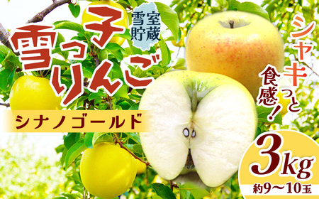 【数量限定 2026年 4月発送 予約受付 】 雪っ子 りんご 熟成 シナノゴールド 3kg 岩手県 北上市 D0479 展勝地レストハウス 国産 リンゴ 林檎 果物 フルーツ 果実 贈答用りんご 雪室貯蔵 雪室りんご 東北