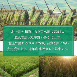 令和7年産 新米 ひとめぼれ 4kg（2㎏×2袋）米 お米 ブランド米 精米 白米   産地直送 国産 送料無料 岩手県 北上市 D0546 ライズみちのく