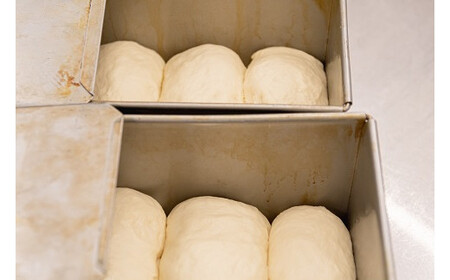 【毎月数量限定】究極のグラスフェッド食パン レーズン入り 2斤サイズ 山地酪農牛乳 グラスフェッドバター 田野畑 最高級 パン 食パン 朝食 希少食材 株式会社アリーブ ときよじせつ 岩手県 北上市 H0063