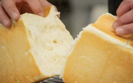 【数量限定・6ヶ月定期便】 究極のグラスフェッド 食パン プレーン 2斤 山地酪農牛乳 グラスフェッドバター 最高級 パン 食事パン 朝食 希少食材 株式会社アリーブ ときよじせつ 岩手県 北上市 Q0059