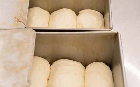 【数量限定・6ヶ月定期便】 究極のグラスフェッド 食パン プレーン 2斤 山地酪農牛乳 グラスフェッドバター 最高級 パン 食事パン 朝食 希少食材 株式会社アリーブ ときよじせつ 岩手県 北上市 Q0059