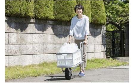 アルミ製一輪車 ポケにゃん 折り畳みコンテナ付 H0107