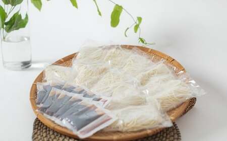 手造り盛岡冷麺 10食 冷凍 スープ付 本生タイプ 手作り冷麺 岩手県 北上市 C0328 