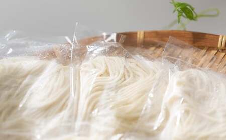 手造り盛岡冷麺 10食 冷凍 スープ付 本生タイプ 手作り冷麺 岩手県 北上市 C0328 