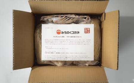 手造り盛岡冷麺 10食 冷凍 スープ付 本生タイプ 手作り冷麺 岩手県 北上市 C0328 