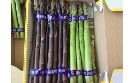 北上産 アスパラ 【予約受付 2026年産】5月上旬～発送開始予定  パープルアスパラ・グリーンアスパラ 計約 750g アスパラ 2色 セット 紫 緑 野菜 国産 岩手 北上 フルーツきやなぎ 岩手県 北上市 B0243