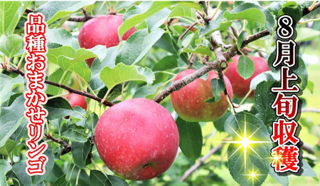 予約受付【品種おまかせ】りんご 約2kgセット A0170　