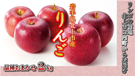 予約受付【品種おまかせ】りんご 約2kgセット A0170　